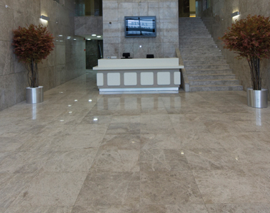 Dtstone